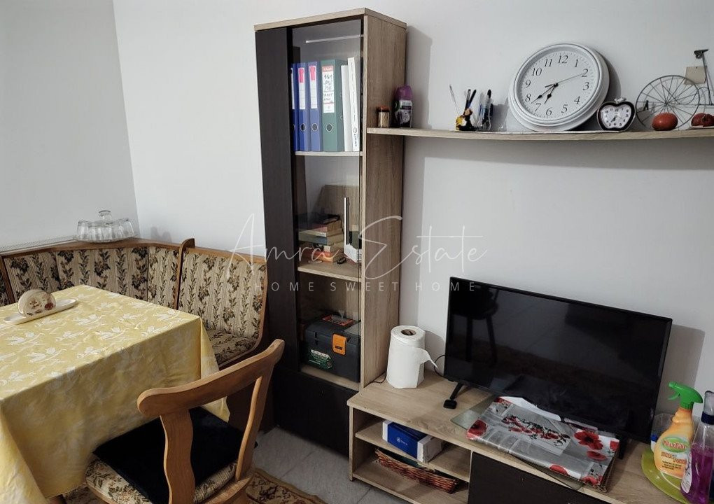 Apartament 1 camera cu gradina in zona strazii Horea