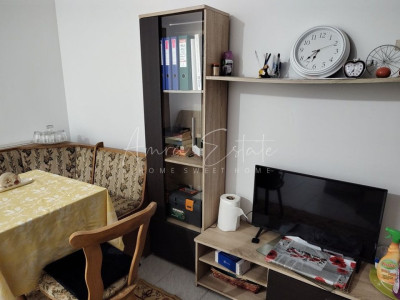 Apartament 1 camera cu gradina in zona strazii Horea